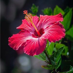 Meet your Posher, Tabitha